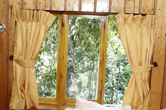 Shola Periyar Tree House, Thekkady 3
